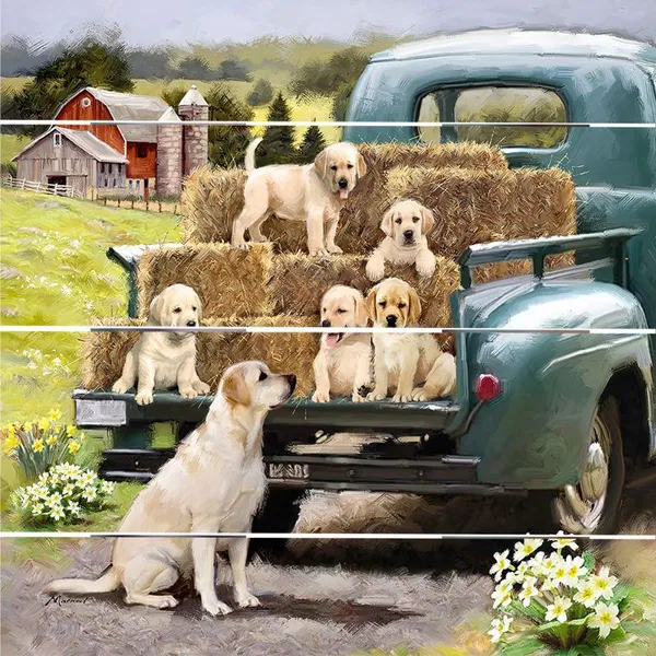 128-0258 Product Image 1