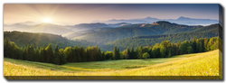 Image of Rolling Hills and Morning Light 12 x 36