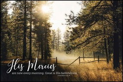 Image of Plaque – His Mercies 24’x16”