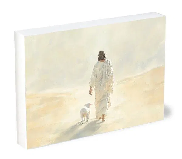 128-2729 Product Image 1