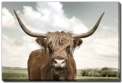 Image of On The Ranch Iv 16’x20′