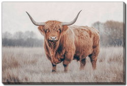 Image of Center of Attention 16’x20′