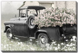 Image of Favorite Old Truck 16’x20′