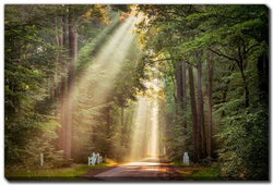 Image of This Beam is Booming Canvas 30’x45′