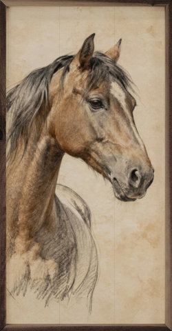 Image of Framed Art- Horse Pencil Study