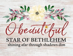 Image of Pallet Art Beautiful Star of Bethlehem 9×12