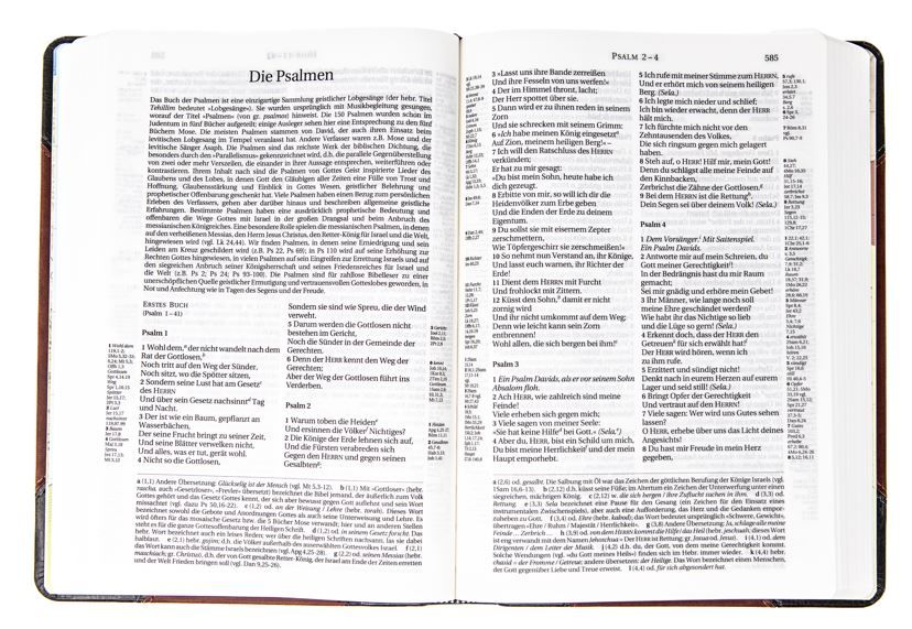 180-1031 Product Image 1