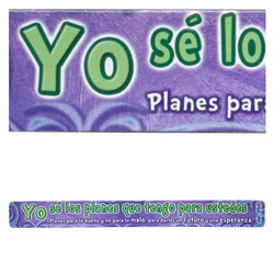 Image of Tira magnética Jer. 29:11