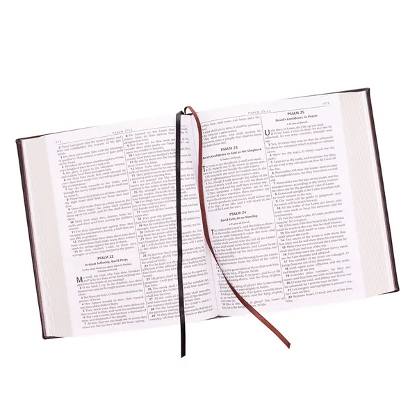 200-0207 Product Image 6