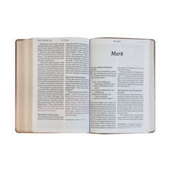 Image of NLT Super Giant Print Bible, Dayspring Signature Collection