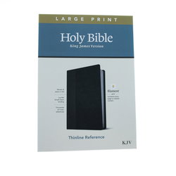 Image of KJV Large Print Thinline Reference Bible, Filament Enabled Edition-Red
