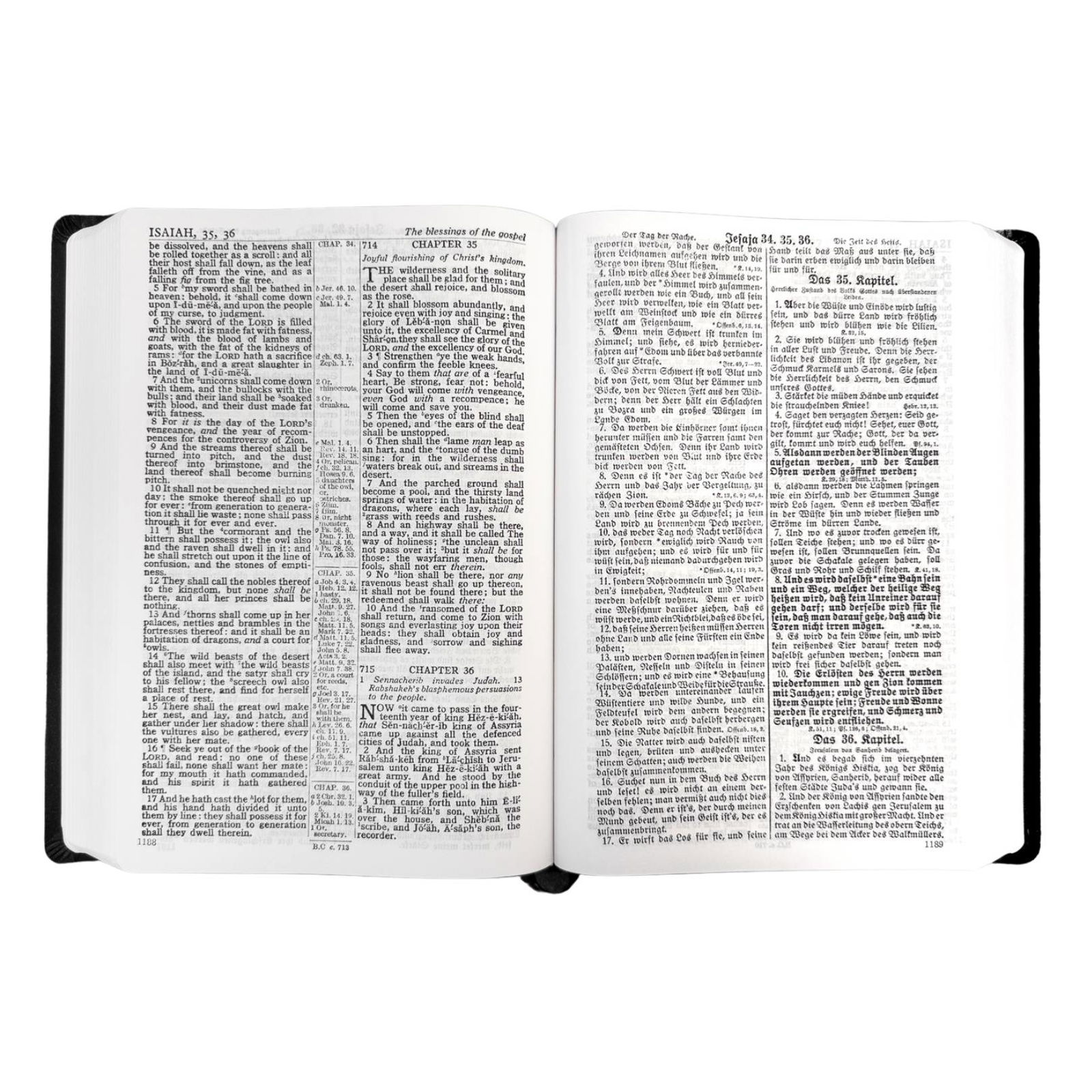 202-0058 Product Image 2