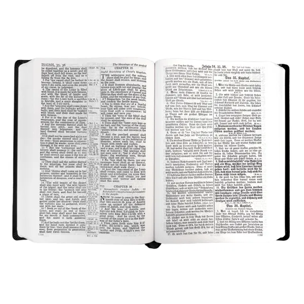 202-0058 Product Image 2