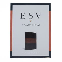 Image of ESV Study Bible-Forest/Tan Trail Design TruTone