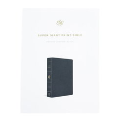 Image of ESV Super Giant Print Bible -Black