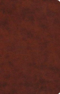 Image of ESV Large Print Value Thinline Bible-Chestnut TruTone