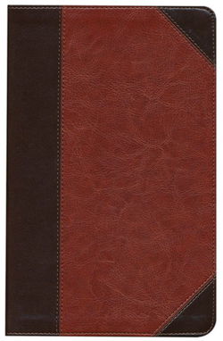 Image of ESV Thinline Bible-Brown/Cordovan Portfolio Design TruTone