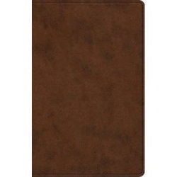 Image of ESV Premium Gift Bible Trutone, Brown Imitation Leather
