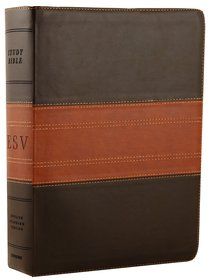 Image of ESV Personal Reference Bible, TruTone, Deep Brown/Tan, Trail Design