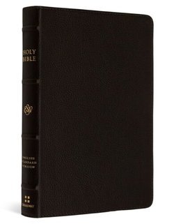 Image of ESV Compact Bible -Buffalo Leather, Deep Brown