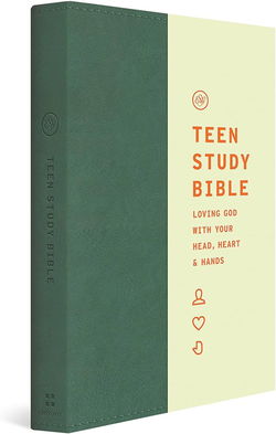Image of ESV Teen Study Bible (Trutone Seaside Blue)