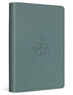 Image of ESV Value Compact Bible (Trutone, Paris Sky, Branch Design)