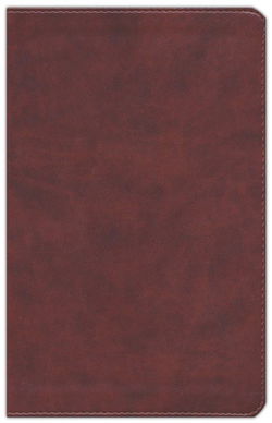 Image of ESV Large Print Personal Size Bible