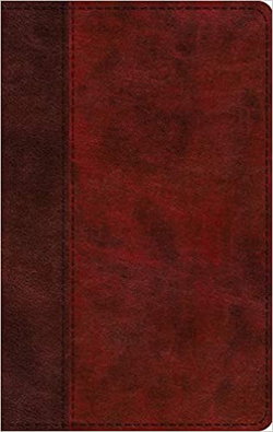 Image of ESV Large Print Thinline Bible Burgundy/Red