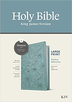 Image of KJV Large Print Thinline Reference Bible, Teal Leather
