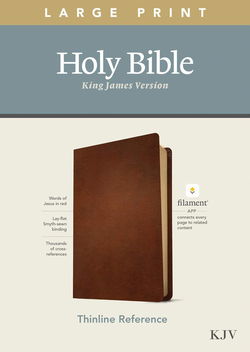 Image of KJV Large Print Thinline Reference Bible, Filament Enabled Edition