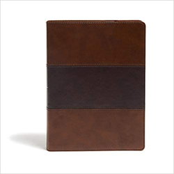 Image of KJV Study Bible -Saddle Brown LeatherTouch