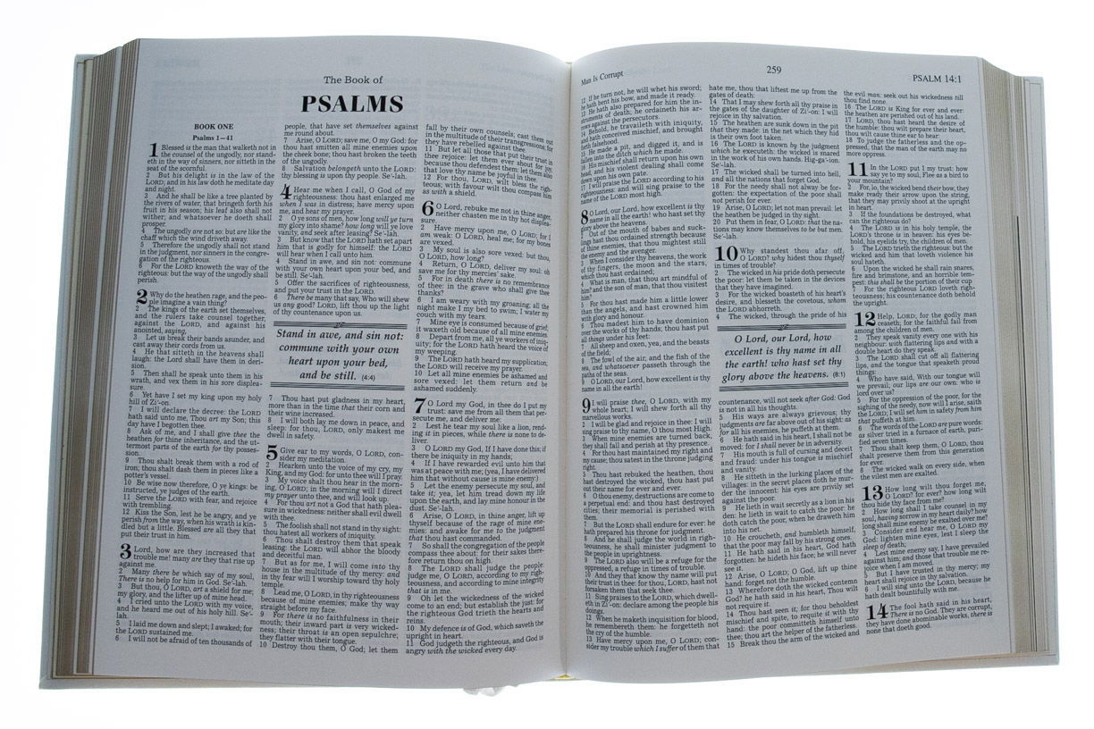 206-0510 Product Image 2