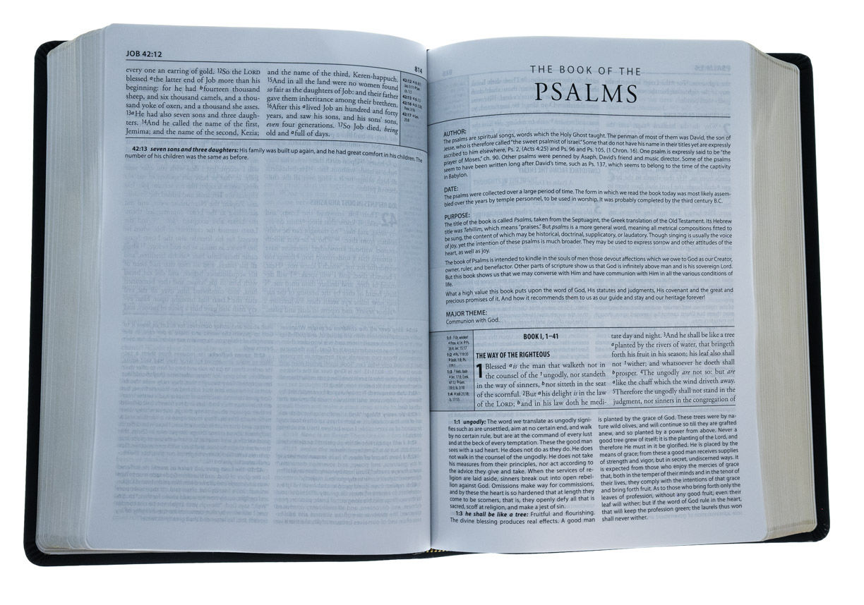 206-0561 Product Image 4