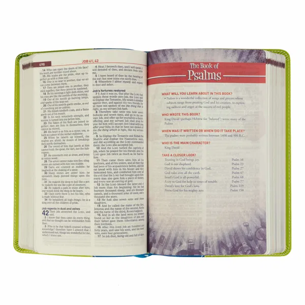206-0621 Product Image 3