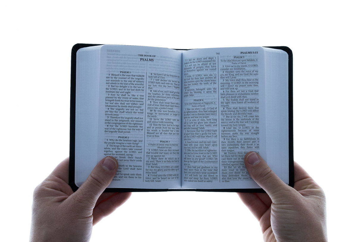 206-0679 Product Image 2