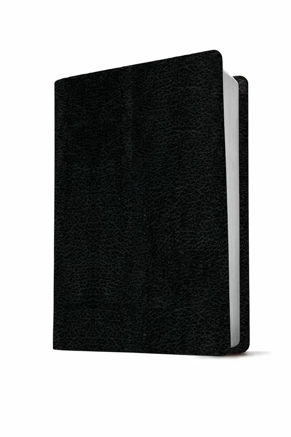 206-0810 Product Image 2
