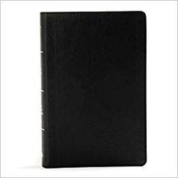 Image of KJV Large Print Personal Size Reference Bible