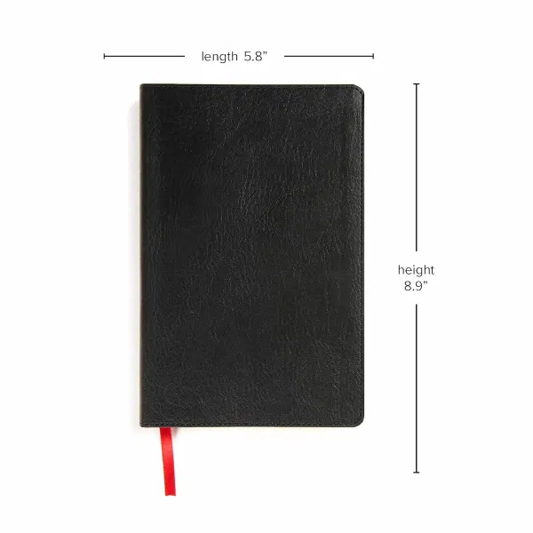 206-0825 Product Image 5
