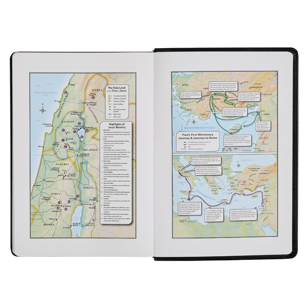 206-0832 Product Image 5