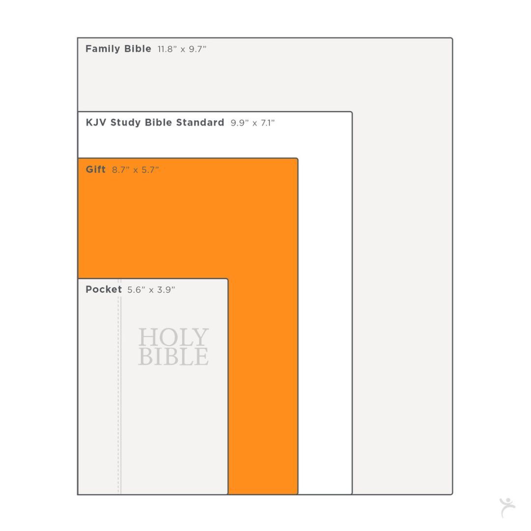 206-0855 Product Image 11