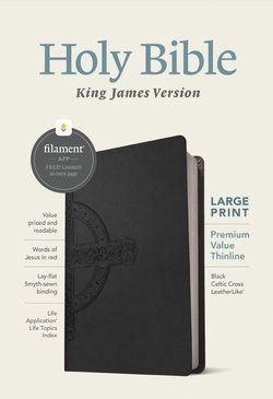 Image of KJV Large Print Premium Value Thinline Black – Filament Enabled
