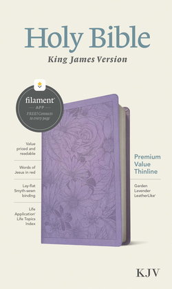 Image of KJV Premium Value Thinline Bible Lavender – Filament Enabled