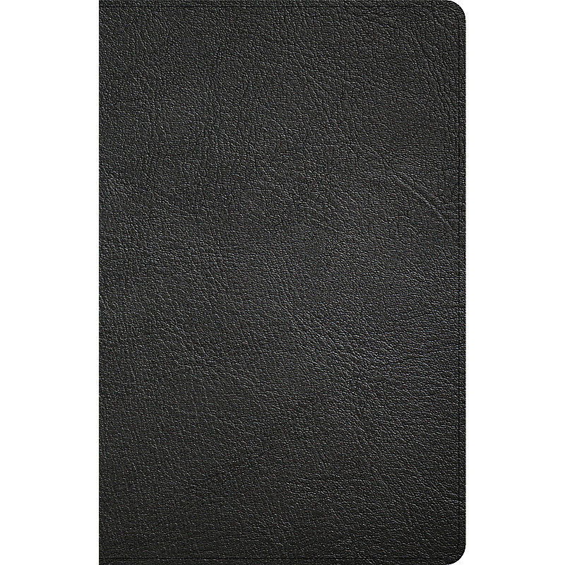 206-0915 Product Image 1