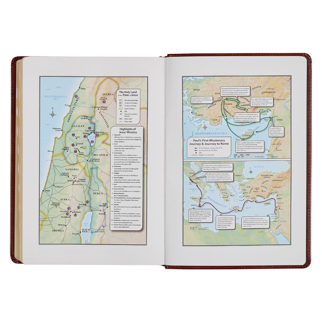 206-1000 Product Image 5