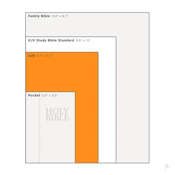 206-1016 Product Image 12