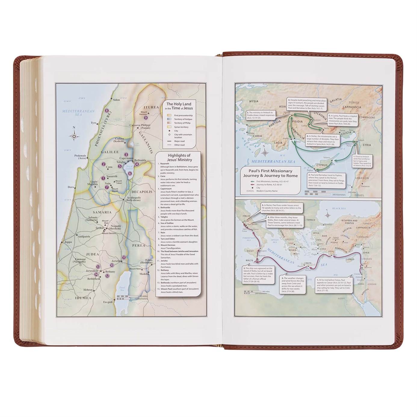 206-1083 Product Image 10