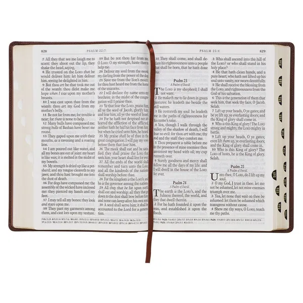 206-1086 Product Image 12