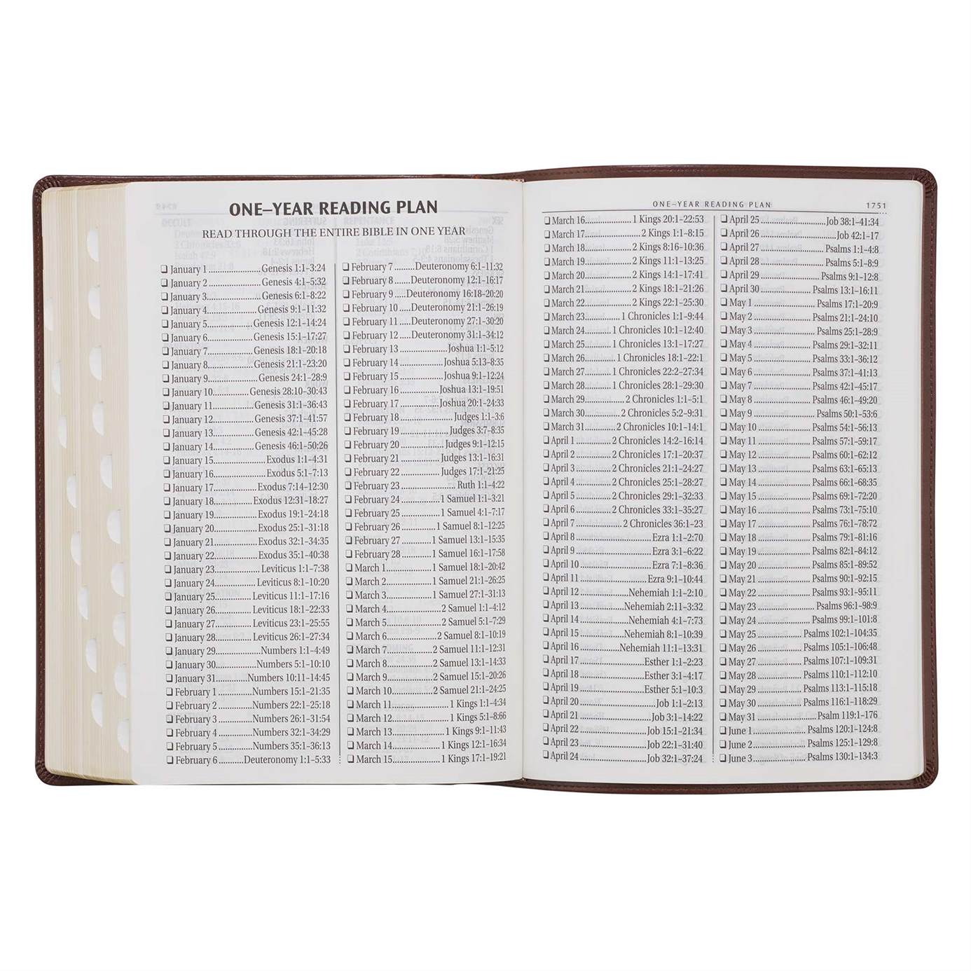 206-1086 Product Image 9