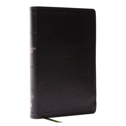 Image of KJV The Everyday Bible: 365 Daily Readings