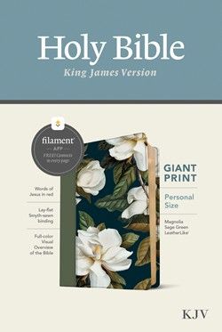 Image of KJV Personal Size Giant Print Bible, Filament